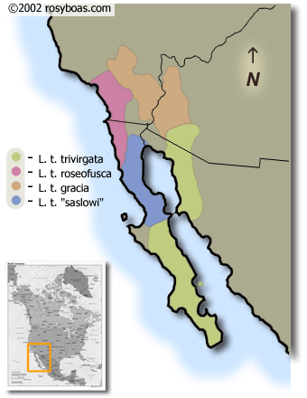 distribution